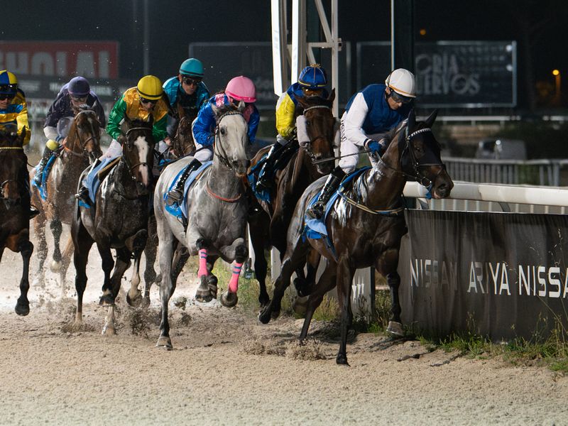 Caballos compitiendo en las carreras nocturnas bajo los focos